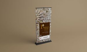 www.primarycare.gr